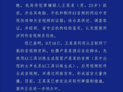 合肥警方揭曉案件真相：詳盡調(diào)查結(jié)果公布，事實勝于雄辯！