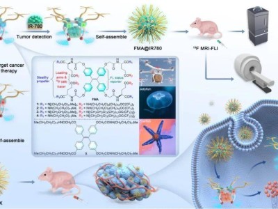 中科院研發(fā)19F MRI“分子無人機”：革命性藥物遞送系統(tǒng)，實現(xiàn)精準醫(yī)療新突破！