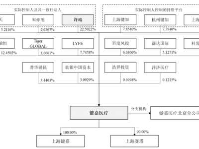 鍵嘉醫(yī)療IPO終止，高瓴喻恒、軟銀、百度等投資“打水漂”？