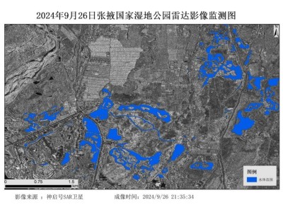 神啟號SAR衛(wèi)星傳回超高清照片，中國遙感技術(shù)再突破！