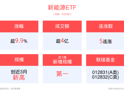 新能源ETF盤中漲停，寧德時(shí)代午后漲超10%，新能源概念火了？