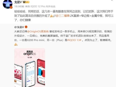 iQOO 13新動向：直屏窄邊框+金屬中框，你期待嗎？