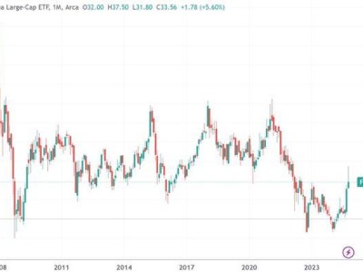 中國股票基金資金流入創(chuàng)新高，“新興市場之父”力挺中國！