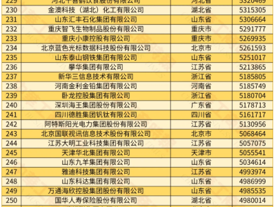 2024中國民營企業(yè)500強揭曉，哪些企業(yè)上榜了？