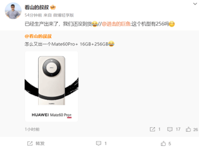 華為Mate60 Pro+新動向：16GB+256GB版，價格更親民？