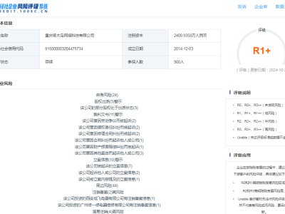 雷軍姚勁波加持，啄木鳥維修為何難以展翅高飛？