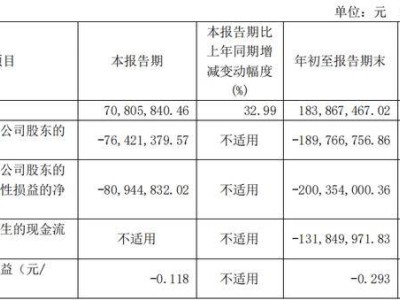 基因治療CDMO領(lǐng)頭羊和元生物，前三季度凈虧1.9億何時解？