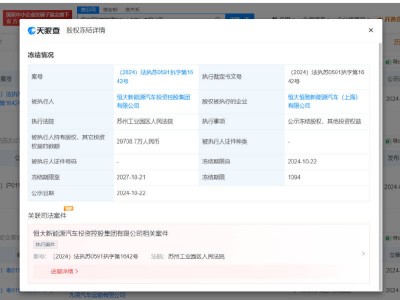 2.9億股權遭凍結，知名新能源汽車公司陷困境？