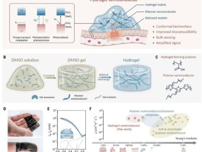 水凝膠半導體材料新突破，或?qū)㈤_啟生物集成電路新篇章！