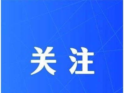 全國車主福利！11月4日起可申領(lǐng)電子行駛證，辦事出行更便捷