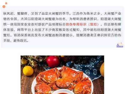 陽澄湖大閘蟹升級防偽手段：AI點碼技術助力消費者輕松辨識真假