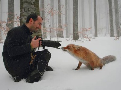 野生動物攝影趣事多，攝影師與動物的奇妙“對視”瞬間！