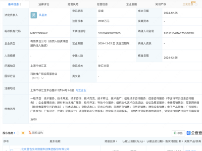 藍色光標全資成立上海智能營銷科技新公司，布局何方？