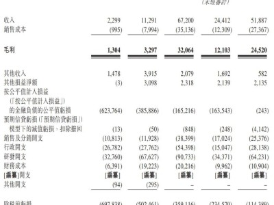 腦動(dòng)極光路演中：上半年虧損超億，港股上市倒計(jì)時(shí)