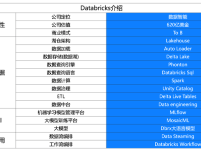 AI+數(shù)據(jù)風(fēng)口正盛，中國能否孕育出下一個(gè)Databricks？