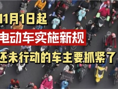 車行代辦強制消費、發(fā)放假牌套牌，電動自行車上牌成難題