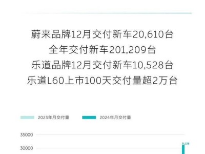 蔚來2024年純電銷量大增38%：技術(shù)創(chuàng)新與商業(yè)模式雙贏的奇跡？