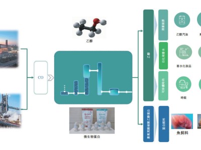 首鋼朗澤赴港上市路：半年虧近億，首鋼集團持股近三成能否力挽狂瀾？