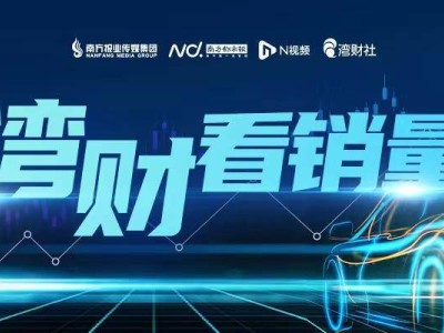 新能源車市火熱！多家車企銷量破紀錄，2025年目標紛紛上調(diào)