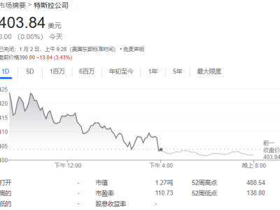 特斯拉年銷量首降，四季度創(chuàng)新高卻未達(dá)預(yù)期，股價早盤大跌