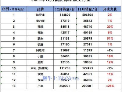 2024新能源車企成績單揭曉，2025年誰將率先沖刺新目標(biāo)？