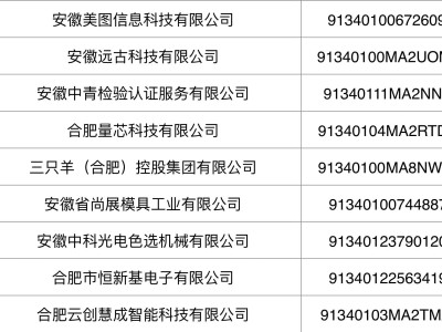 合肥產(chǎn)教融合企業(yè)新名單出爐，三只羊控股成功入圍公示！