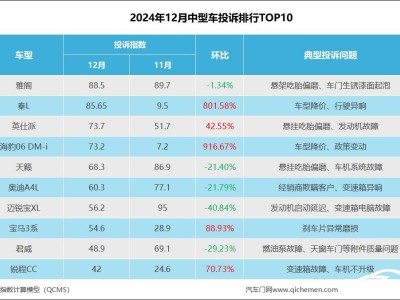 2024年12月中型車投訴榜：比亞迪降價“背刺”老車主成焦點