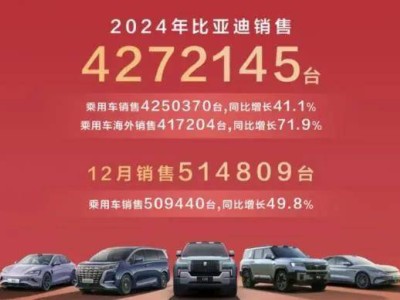 2024自主品牌銷量盤點(diǎn)：誰領(lǐng)跑新能源賽道，誰又在默默蓄力？