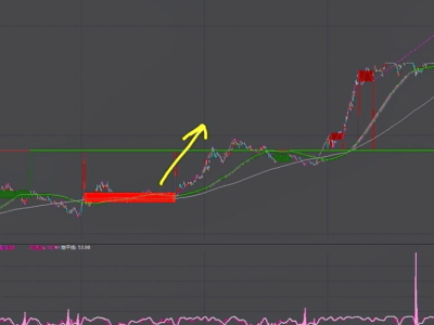 新能源龍頭股領(lǐng)跑市場，這些企業(yè)你不可不知！