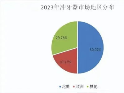 沖牙器新風(fēng)口來襲！2025年，這款爆款如何重塑口腔護(hù)理市場(chǎng)？