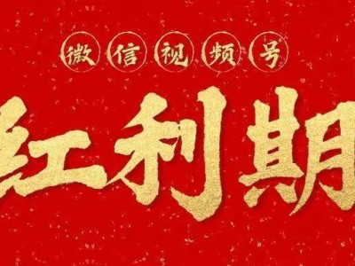 2025年，視頻號(hào)能否成為創(chuàng)始人IP的新藍(lán)海？