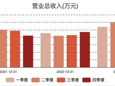 虹軟科技2024年Q4業(yè)績創(chuàng)新高，AI視覺領(lǐng)域需求強(qiáng)勁助力發(fā)展