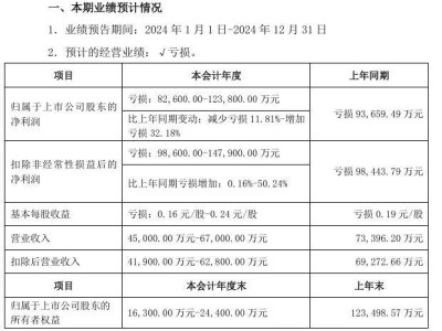 眾泰汽車(chē)2024年預(yù)計(jì)繼續(xù)虧損，凈虧損額或達(dá)8.26億至12.38億元