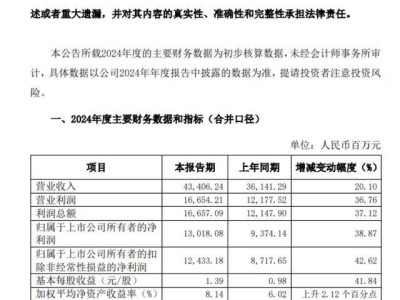 國(guó)泰君安海通2024業(yè)績(jī)揭曉，合并前夕各自亮點(diǎn)何在？