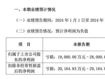 盛天網(wǎng)絡(luò)2024年預(yù)計巨虧，游戲業(yè)務(wù)遇挫新游收入不及預(yù)期