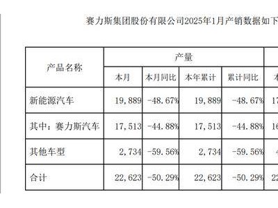 賽力斯1月新能源產(chǎn)銷量下滑近半，新增21.2億擔(dān)保助力子公司發(fā)展