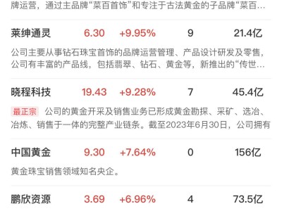 AI熱潮下DeepSeek概念股領(lǐng)跑，黃金、銅纜高速連接概念股齊漲