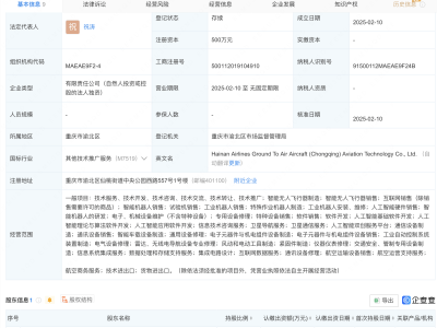 海航航空集團(tuán)新動(dòng)作：兩家科技公司成立，聚焦AI多項(xiàng)業(yè)務(wù)