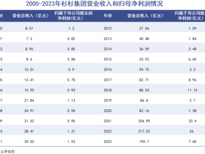 杉杉集團(tuán)內(nèi)斗未歇，主業(yè)停滯現(xiàn)金流告急，商業(yè)帝國(guó)何去何從？