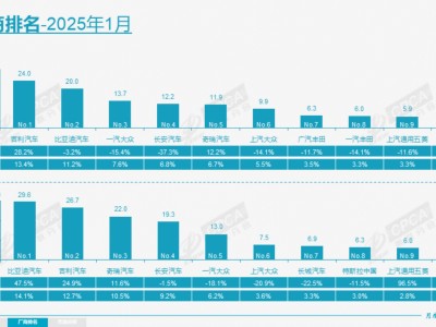 2025年1月車市銷量揭曉：比亞迪領(lǐng)跑批發(fā)榜，華晨寶馬躋身零售前十！