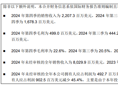 中芯國(guó)際2024業(yè)績(jī)亮眼，2025展望樂(lè)觀：AI高速成長(zhǎng)，汽車本土切換加速