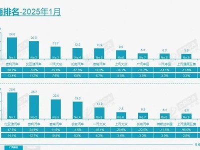 2025年誰(shuí)主沉浮？四家車企已占中國(guó)車市半壁江山